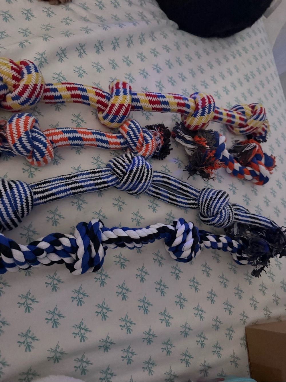 Dogs Multicolor Rope Knot Dog Toys - Blue, White, Red, Yellow-set of 5-NWOT